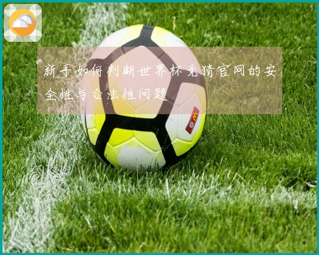 新手如何判断世界杯竞猜官网的安全性与合法性问题