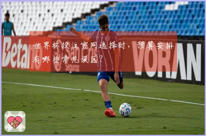世界杯投注官网选择时，预算安排有哪些常见误区？