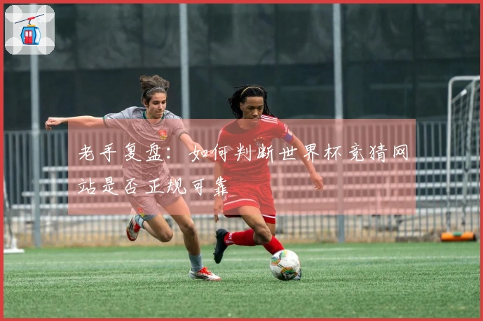 老手复盘：如何判断世界杯竞猜网站是否正规可靠