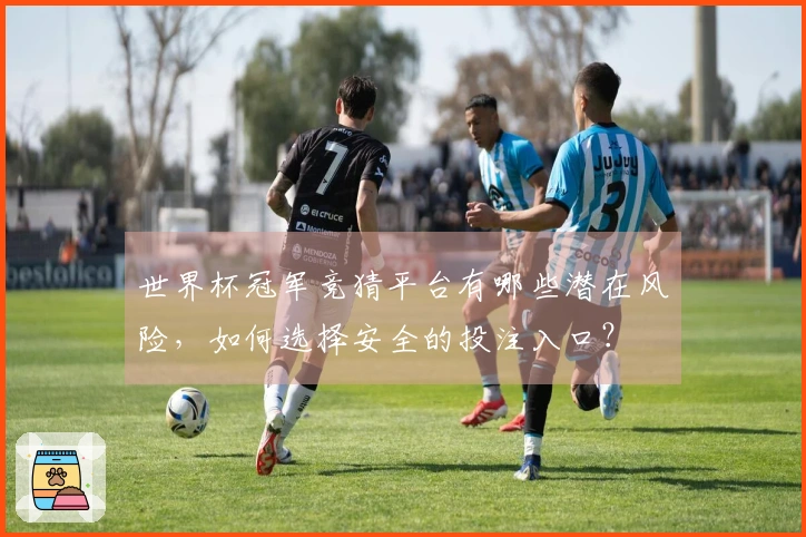 世界杯冠军竞猜平台有哪些潜在风险，如何选择安全的投注入口？