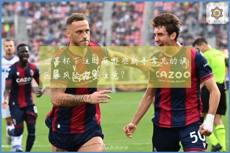 世界杯下注时有哪些新手常见的误区和风险需要注意？