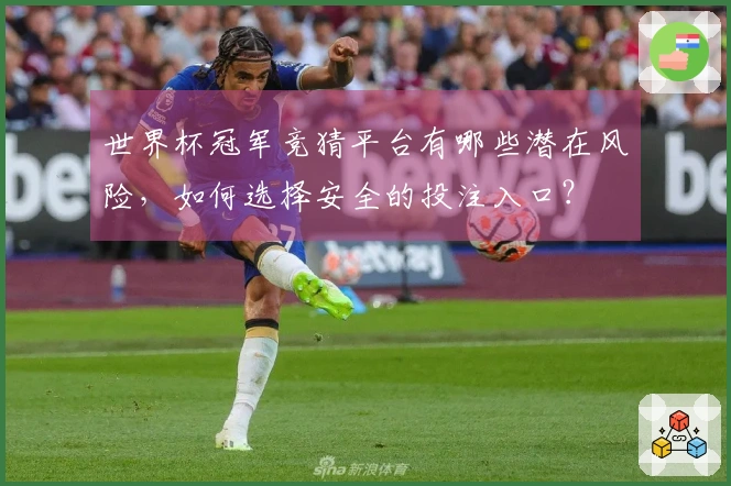 世界杯冠军竞猜平台有哪些潜在风险，如何选择安全的投注入口？