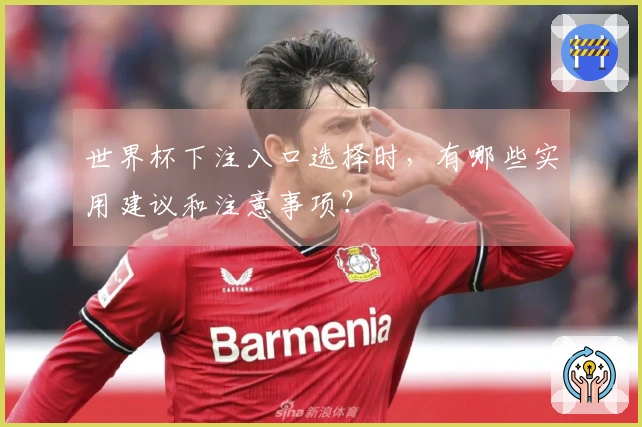 世界杯下注入口选择时，有哪些实用建议和注意事项？