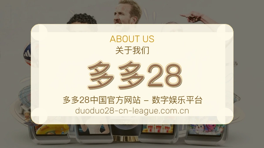 多多28服务说明